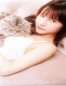 横冲直撞好莱坞 电影