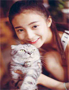 美人鱼2006